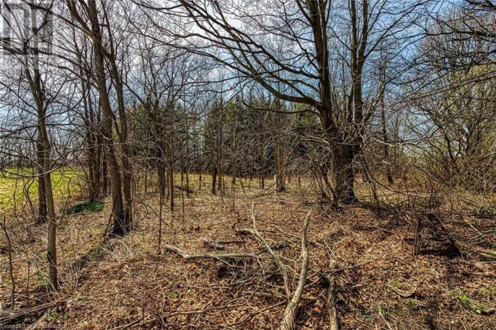 Photo 27 at 521 Baptist Church Road, Brantford