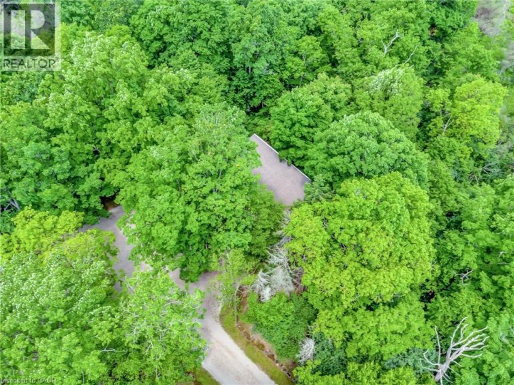 Photo 14 at 1297 Kirkwall Road, Cambridge