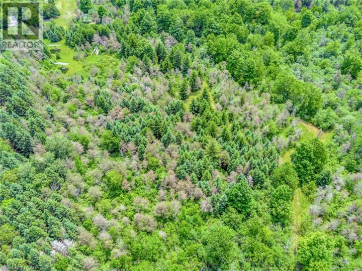 Photo 13 at 1297 Kirkwall Road, Cambridge