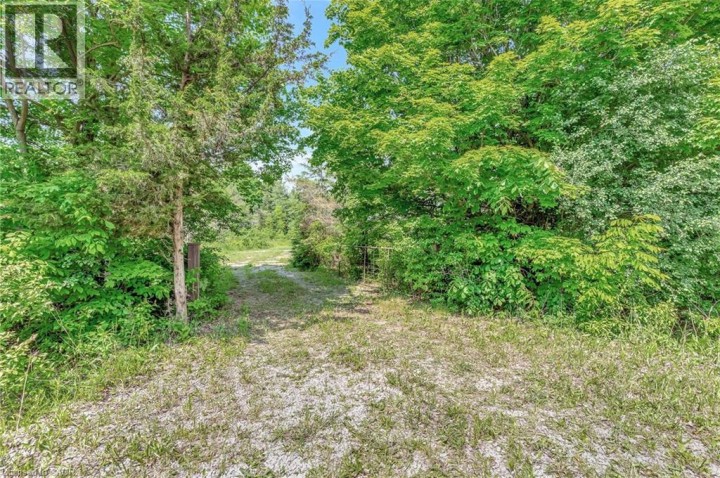 Photo 23 at 1297 Kirkwall Road, Cambridge