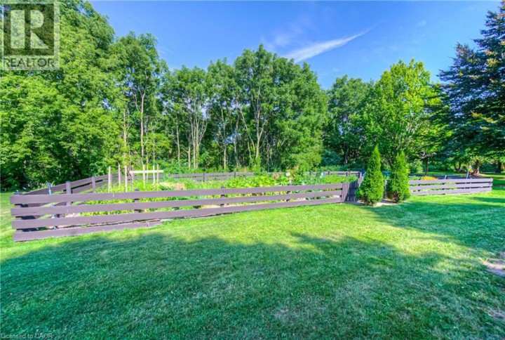 Photo 42 at 313 GEORGE Street N 4, Cambridge