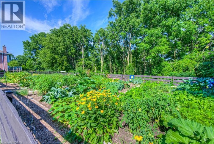 Photo 44 at 313 GEORGE Street N 4, Cambridge