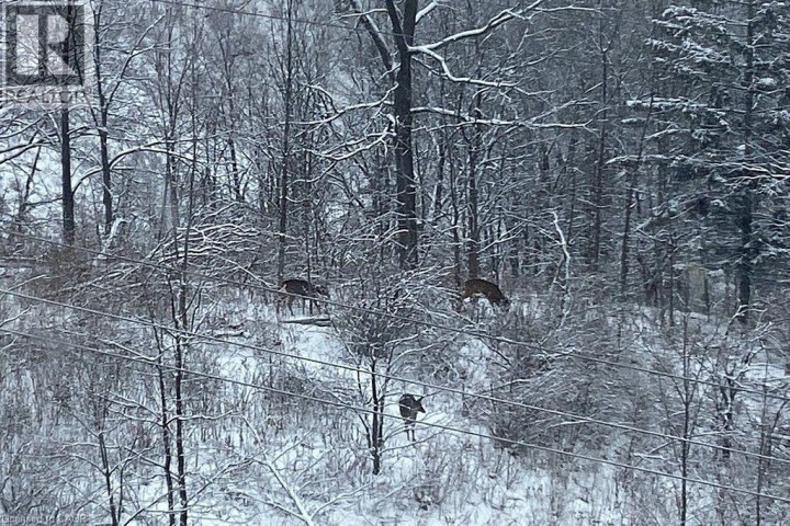 Photo 39 at 237 KING Street W 1004, Cambridge