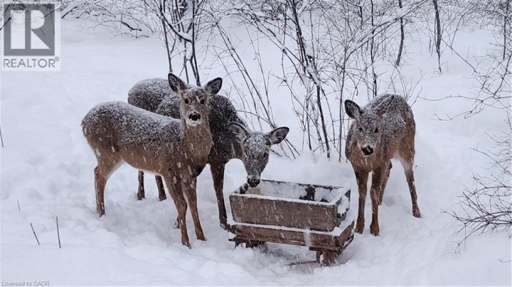 Photo 33 at 220 SALISBURY Avenue 22, Cambridge