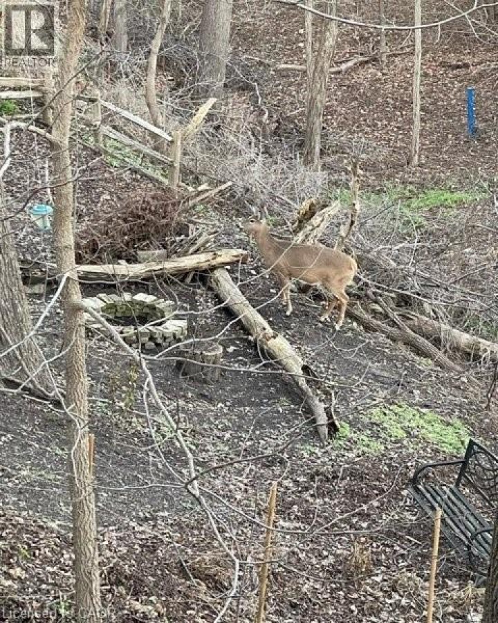 Photo 6 at 163 Fountain Street N, Cambridge