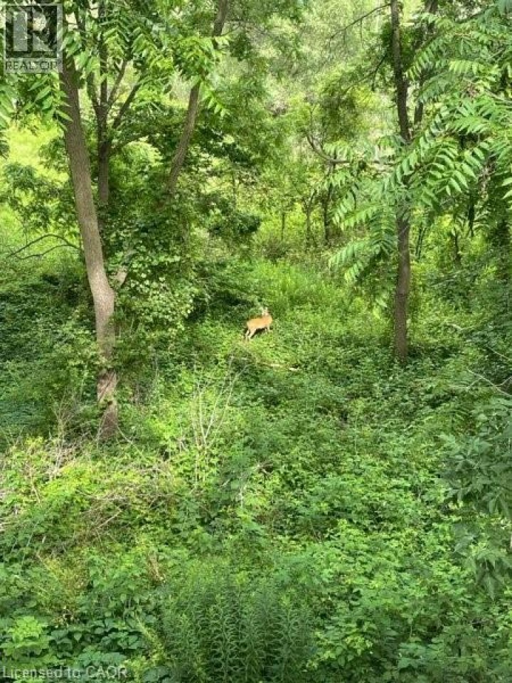 Photo 7 at 163 Fountain Street N, Cambridge