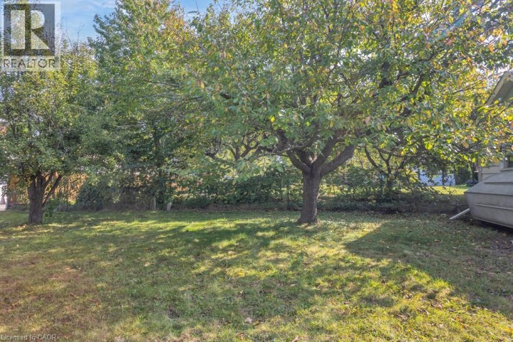 Photo 25 at 240 Elliott Street, Cambridge