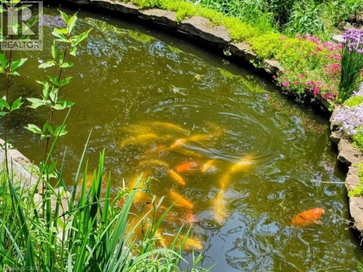 Photo 41 at 158 Terrace Hill Street, Brantford