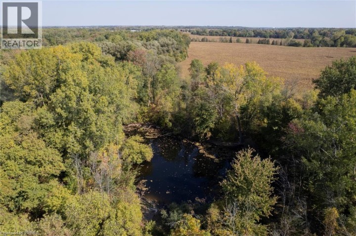 Photo 5 at 206 King Street