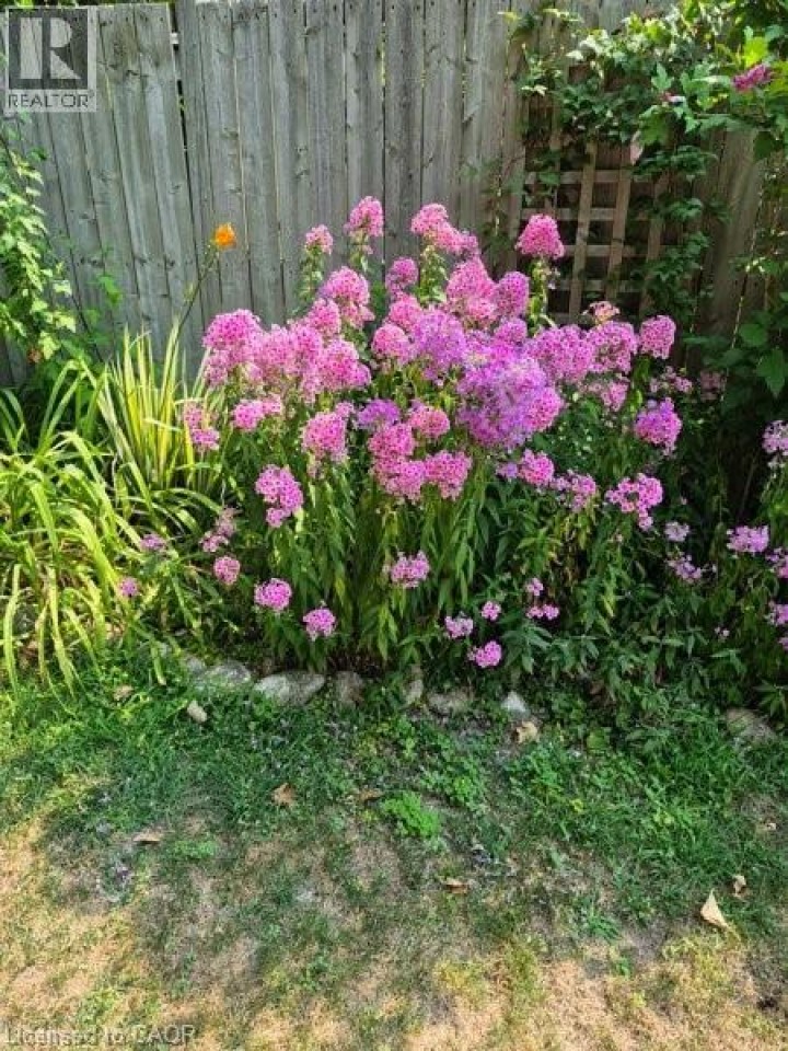 Photo 28 at 30 Dumfries Street, Cambridge