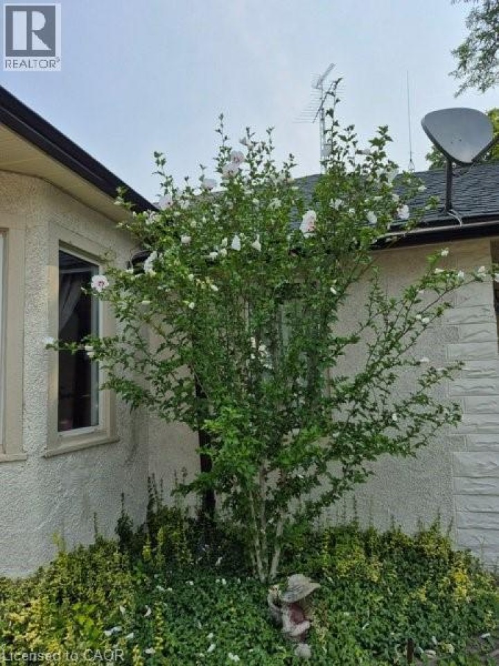 Photo 31 at 30 Dumfries Street, Cambridge