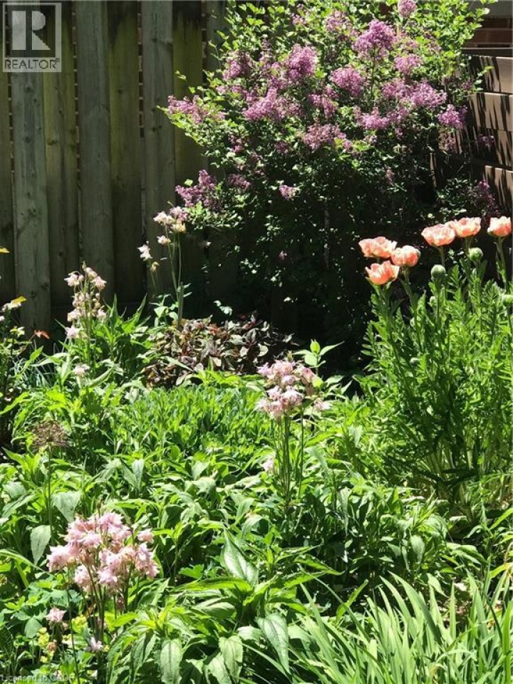 Photo 46 at 151 Concession Street, Cambridge