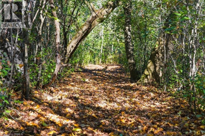 Photo 38 at 24 River Road, Brantford