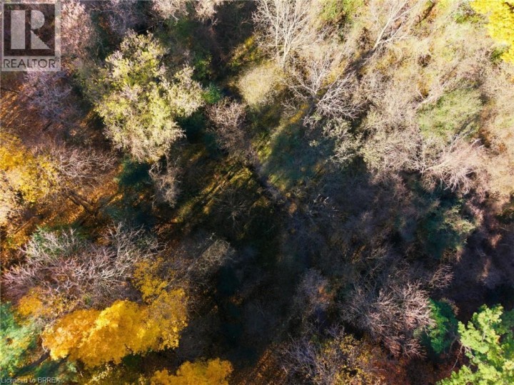 Photo 44 at 24 River Road, Brantford