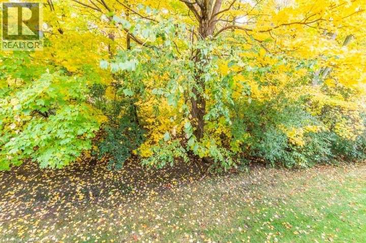 Photo 43 at 235 SAGINAW Parkway 46, Cambridge