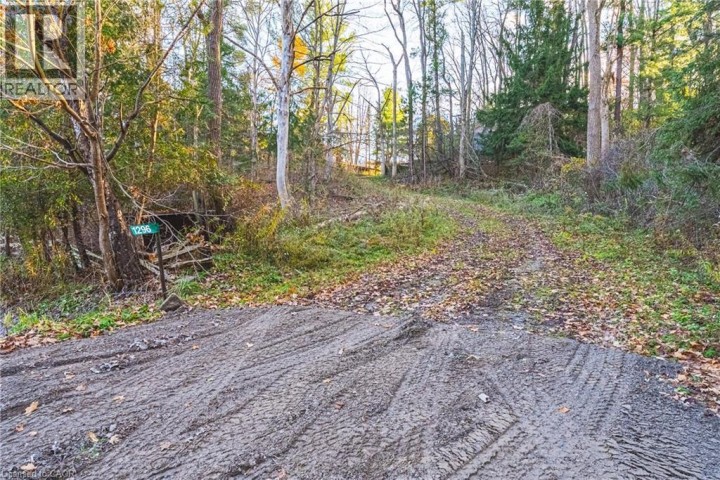 Photo 11 at 1296 Mineral Springs Road