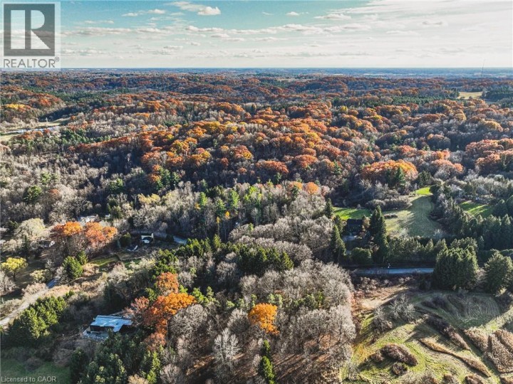 Photo 16 at 1296 Mineral Springs Road