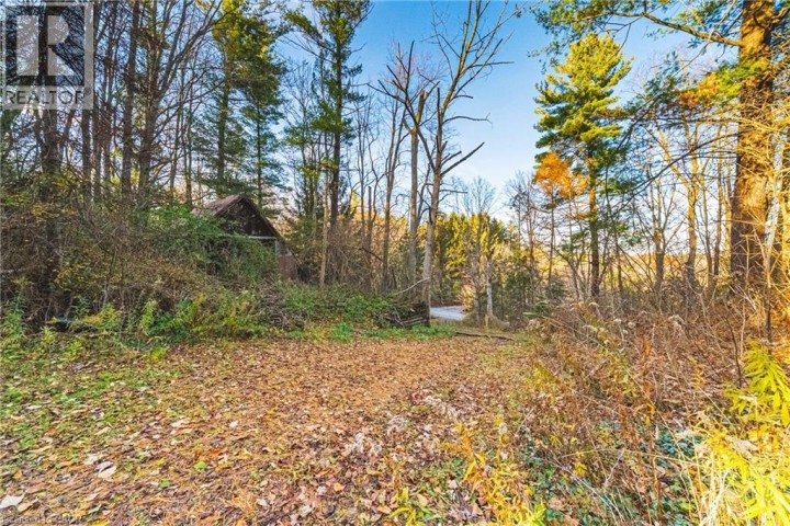 Photo 4 at 1296 Mineral Springs Road