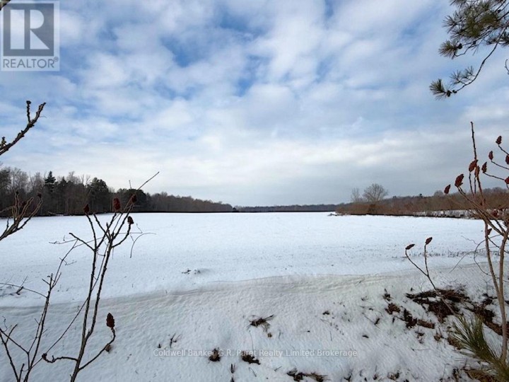 Photo 14 at 141 E 24 Highway E, Rural Charlotteville, Norfolk