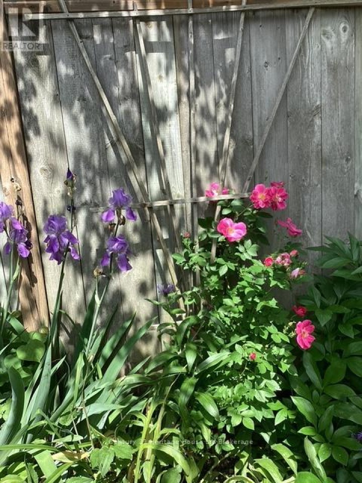 Photo 33 at 11 John Davies Drive, Woodstock - North, Woodstock