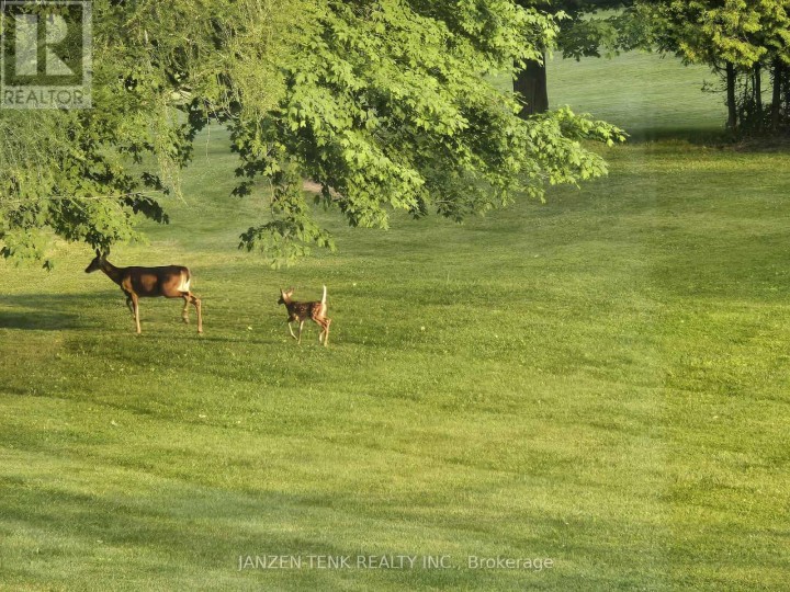 Photo 44 at 9432 Richmond Road, Richmond, Bayham