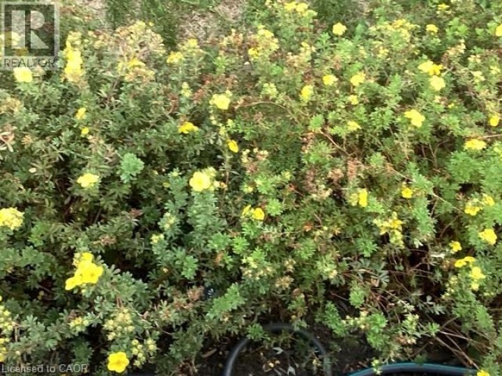 Photo 28 at 306 Adams Avenue, Delhi