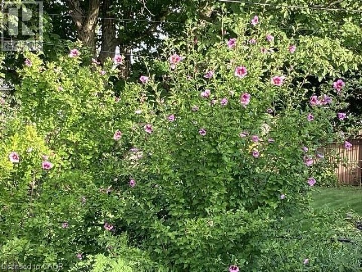 Photo 40 at 306 Adams Avenue, Delhi