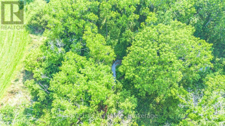 Photo 8 at 15 - 3 LT CONC NORFOLK COUNTY Road 19, Wilsonville, Norfolk County
