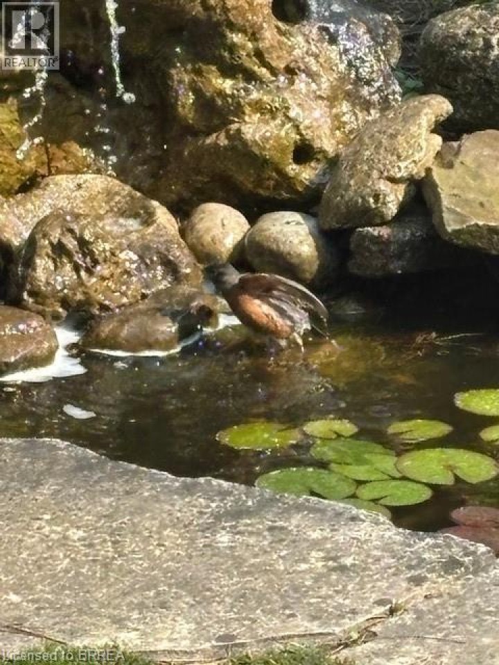 Photo 34 at 9 Summerhayes Crescent, Wyndham Hills, Brantford