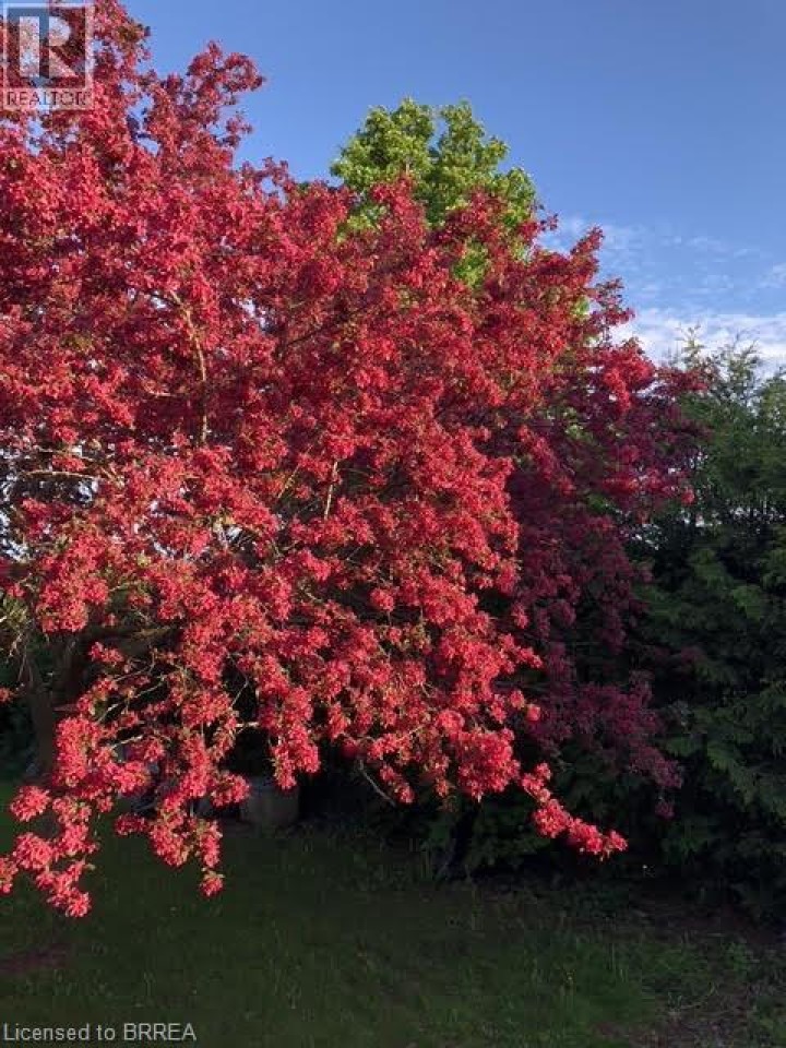 Photo 28 at 35 Rose Court, Innerkip (Fair Grounds), Woodstock