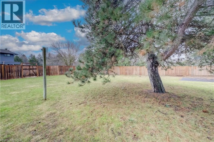 Photo 27 at 57 - 135 S Chalmers Street, Glenview, Lincoln, Oak, Cambridge