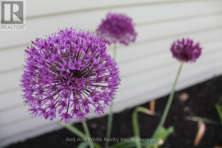 Photo 40 at 449 Greenfield Avenue, Kitchener