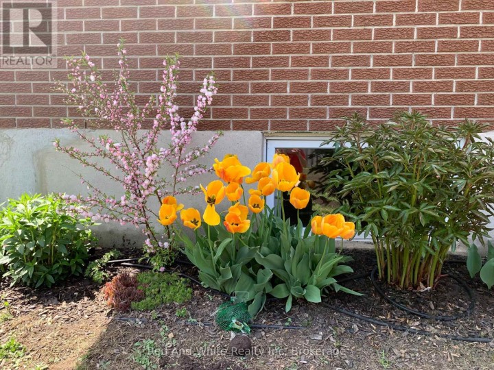 Photo 42 at 449 Greenfield Avenue, Kitchener