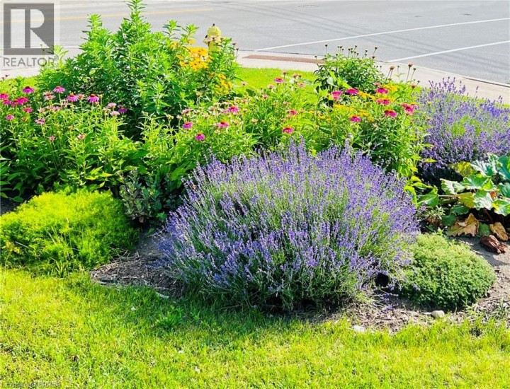 Photo 45 at 213 Elgin Street, East Ward, Brantford