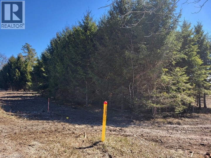 Photo 3 at 166086 New Road, Hawtrey, Otterville