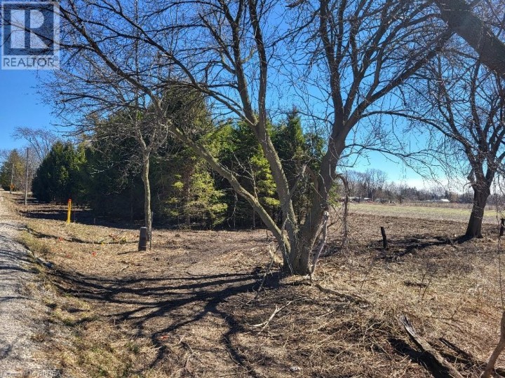 Photo 4 at 166086 New Road, Hawtrey, Otterville