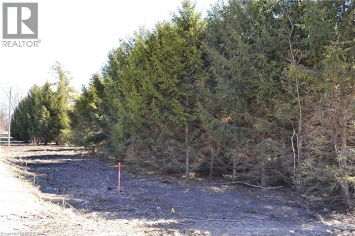 Photo 6 at 166086 New Road, Hawtrey, Otterville