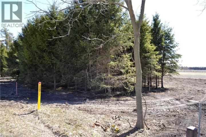 Photo 7 at 166086 New Road, Hawtrey, Otterville