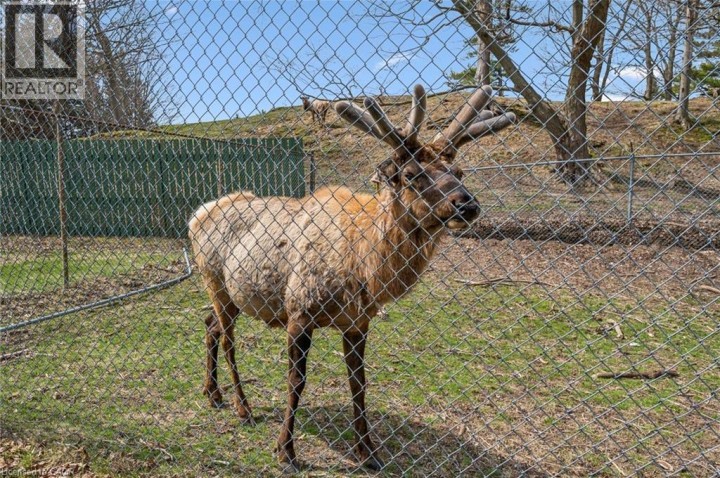 Photo 43 at 83 - 930 Lakeshore Road, Rural Houghton, Norfolk County