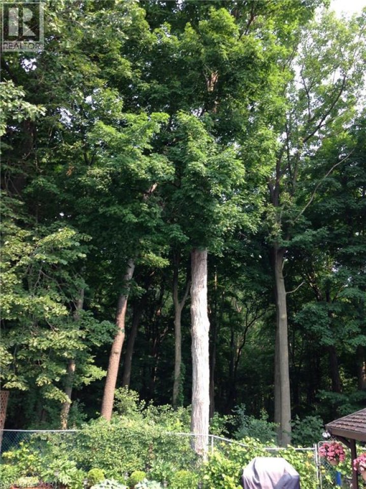 Photo 45 at 34 Blackhorne Crescent, Laurentian Hills / Country Hills W, Kitchener