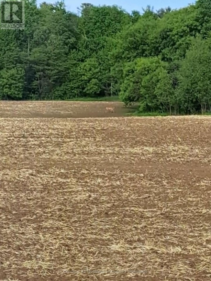 Photo 28 at 7 Kara Lane, Tillsonburg