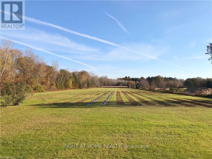 Photo 7 at 1938 Turkey Point Road, Rural Charlotteville, Norfolk County