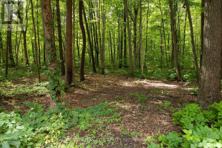 Photo 8 at 2605 Windham East Quarter Line Road, Vanessa, Norfolk County