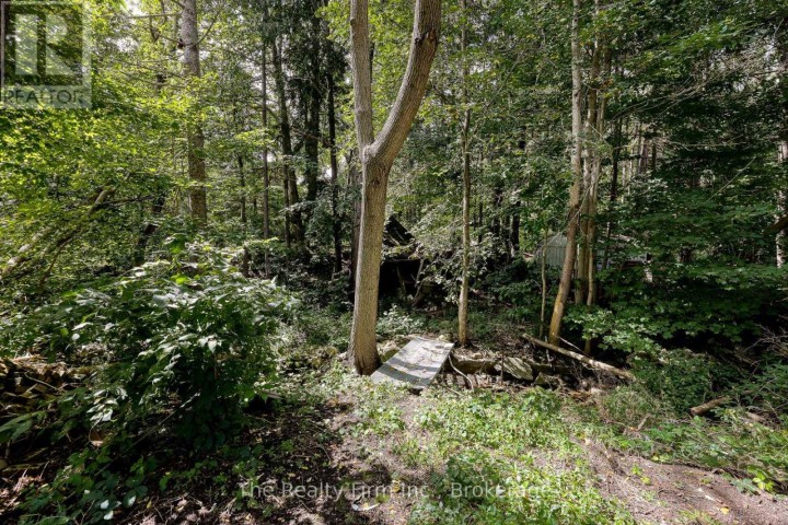 Photo 5 at 167 John Street, Ingersoll - North, Ingersoll