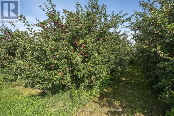 Photo 10 at 1795 Windham Road 11, Windham Centre, Norfolk County