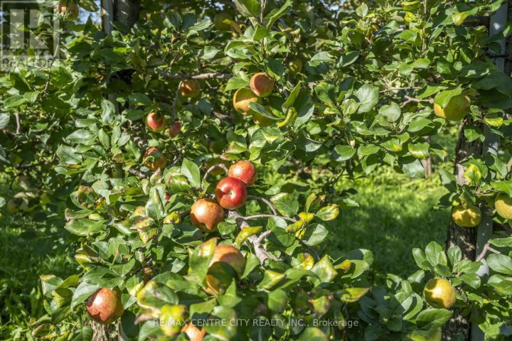 Photo 9 at 1795 Windham Road 11, Windham Centre, Norfolk County