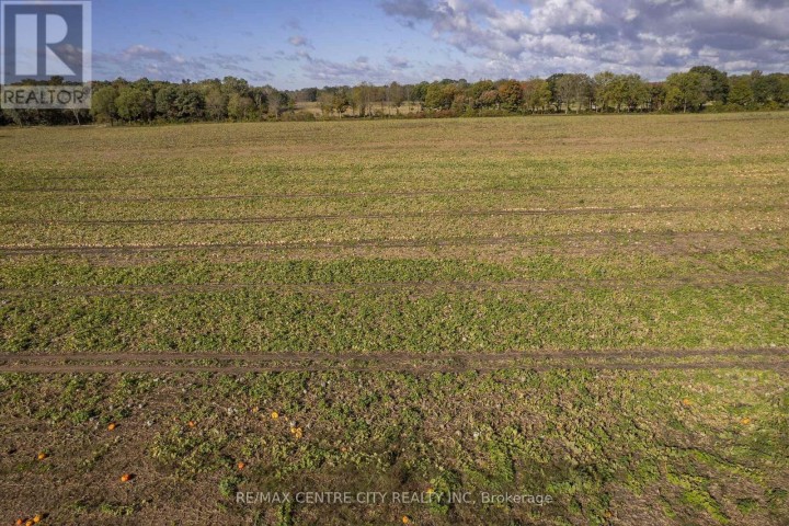 Photo 26 at 8916 Coyle Road, Rural Bayham, Bayham