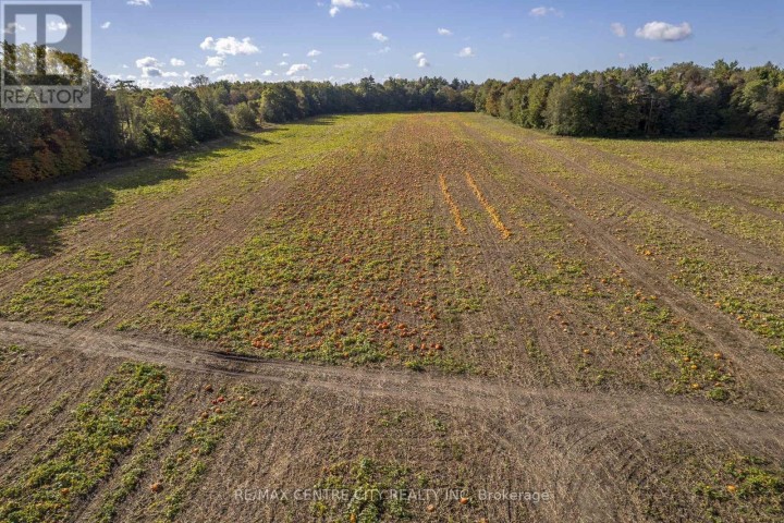 Photo 28 at 8916 Coyle Road, Rural Bayham, Bayham