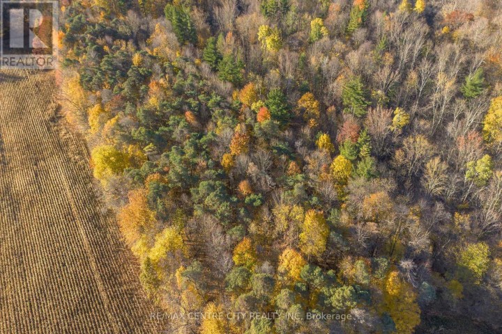 Photo 15 at 8916 Coyle Road, Rural Bayham, Bayham