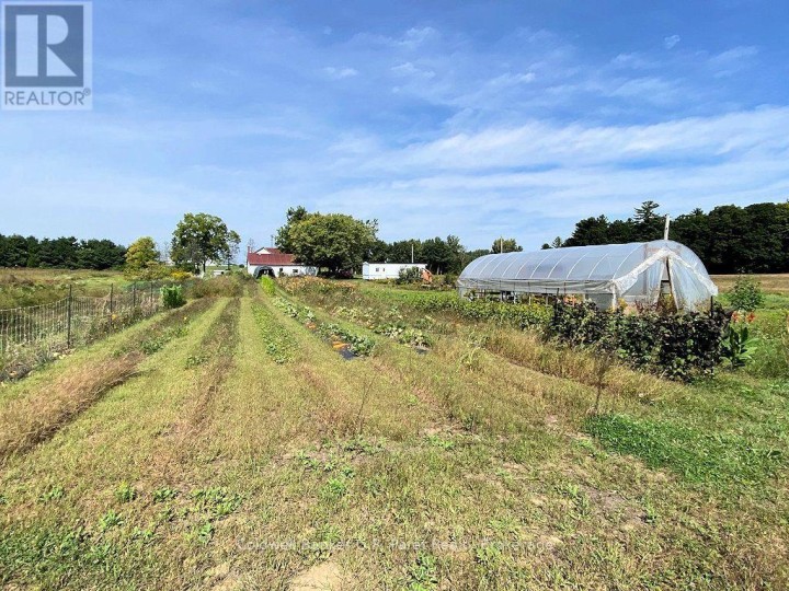 Photo 8 at 722 6th Conc Road, Rural N. Walsingham, Norfolk County